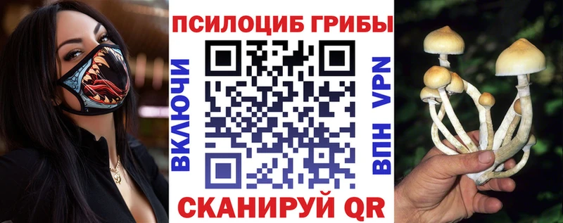 Псилоцибиновые грибы ЛСД  Купить  Химки 